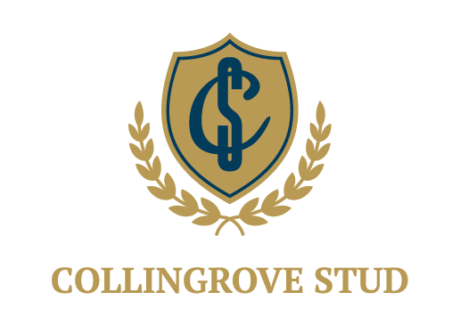 Collingrove Stud